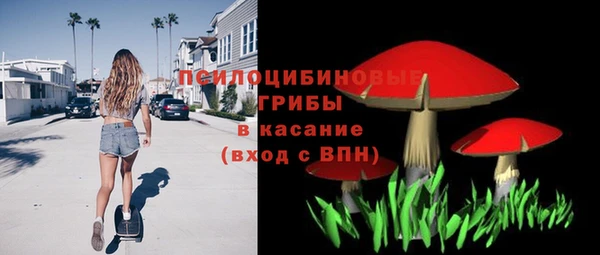 ешки Переславль-Залесский