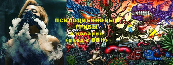 эйфоретик Вуктыл