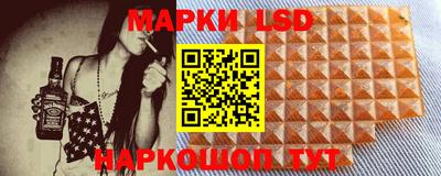 индика Камышлов