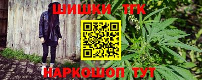 индика Камышлов