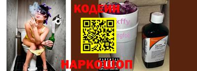 индика Камышлов