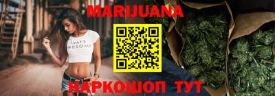 индика Камышлов