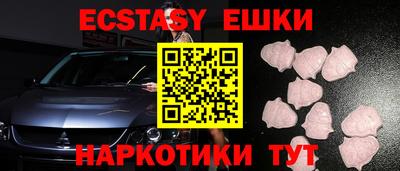 индика Камышлов