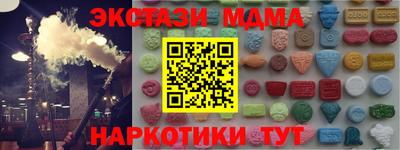 индика Камышлов