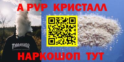 индика Камышлов