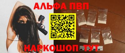 индика Камышлов