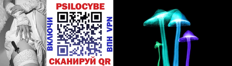 Галлюциногенные грибы Psilocybine cubensis Серов