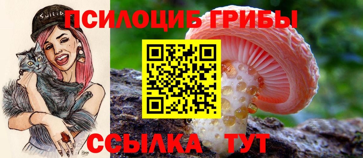 Галлюциногенные грибы прущие грибы Серов