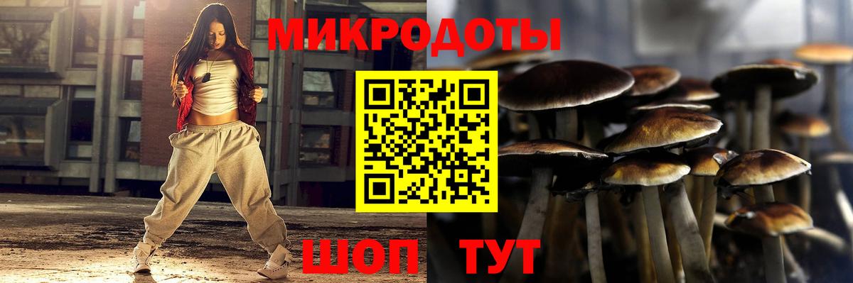 Галлюциногенные грибы MAGIC MUSHROOMS  даркнет сайт  Вход с VPN  Серов  Галлюциногенные грибы Magic Shrooms 
